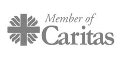 Cáritas Puerto Rico · Catholic Charities (Galveston-Houston / VI)